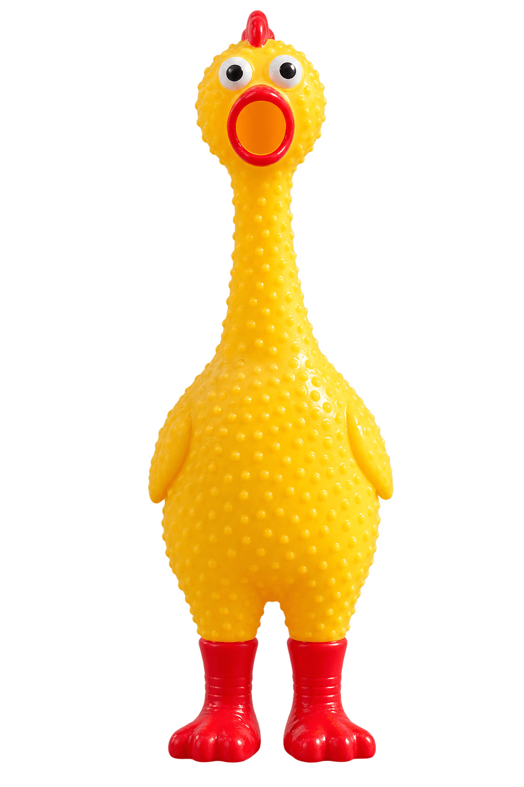 Jimmy the yellow rubber chicken
